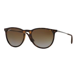 RayBan Erika Sunglasses